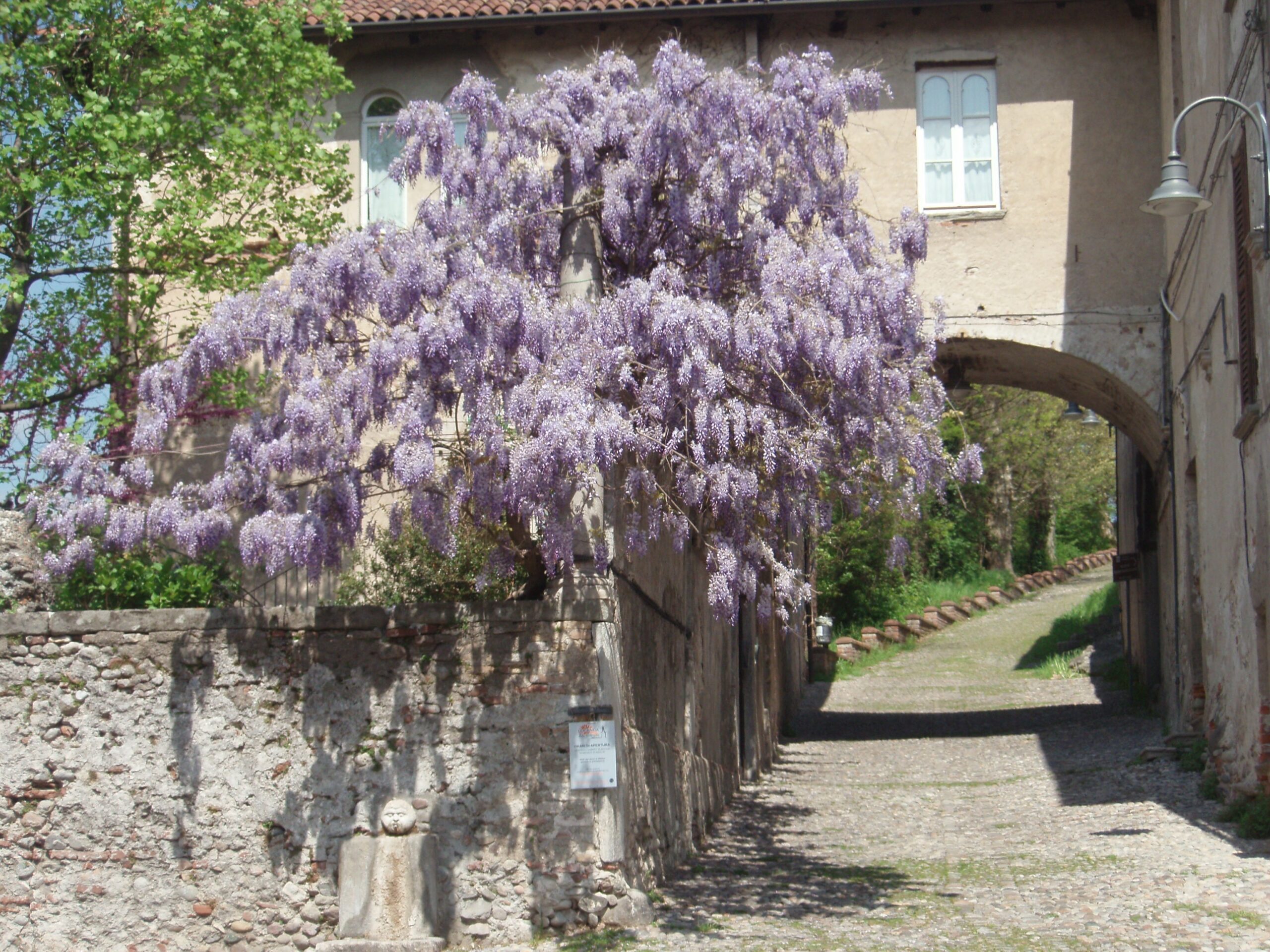 Corso di I livello Reiki sabato 7 maggio 2016