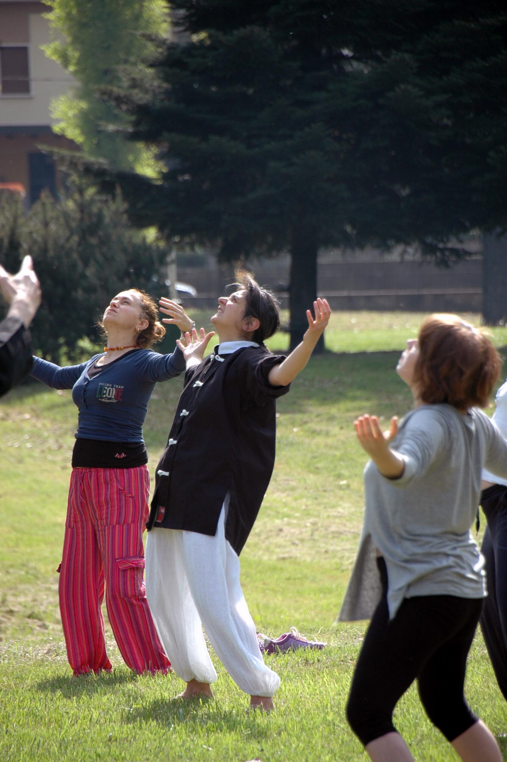 07.07: Una giornata dedicata al Tai Chi a Villa Paradiso